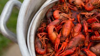 A Foodie’s Guide To New Orleans