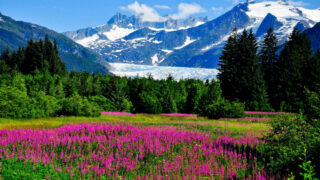 These Are The Top 10 States Americans Want To Visit Most In 2024