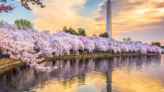 Top 5 Destinations For The Best Cultural Experiences In The U.S.
