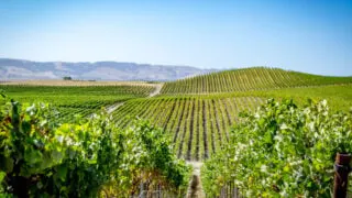 7 Reasons Why This Sunny Region Is One Of The Top Trending U.S. Destinations For 2024