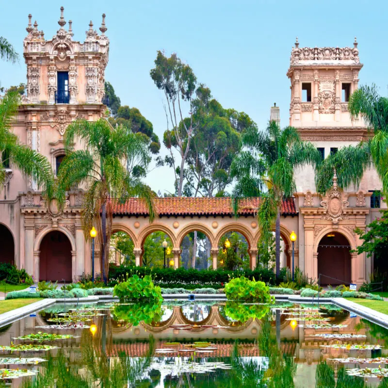 green trees at balboa park san diego