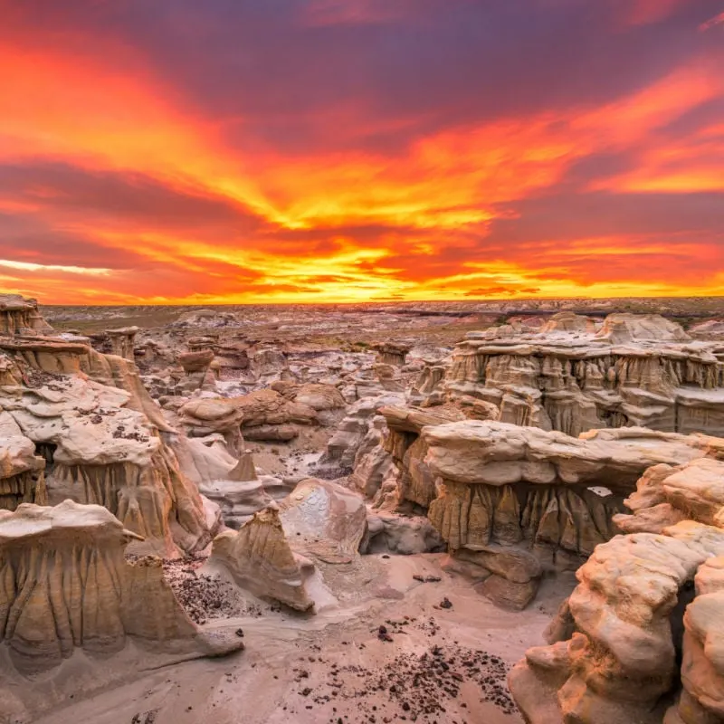 Bisti : De-Na-Zin Wilderness Area, New Mexico