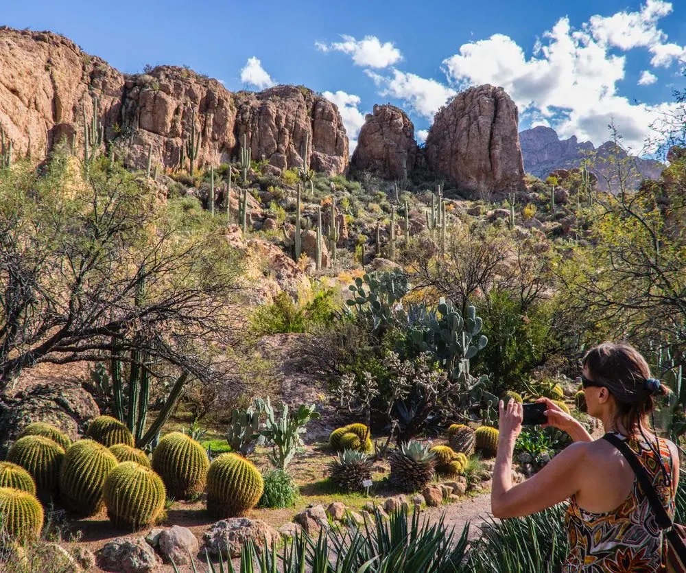 Desert botanical garden, Arizona