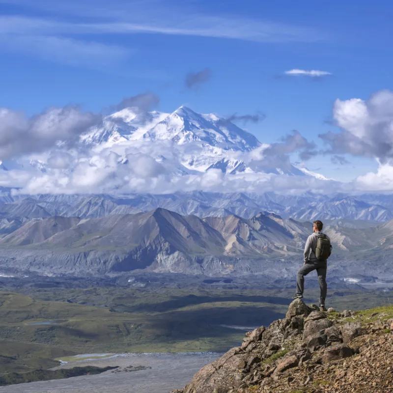 hiker at Denali National Park