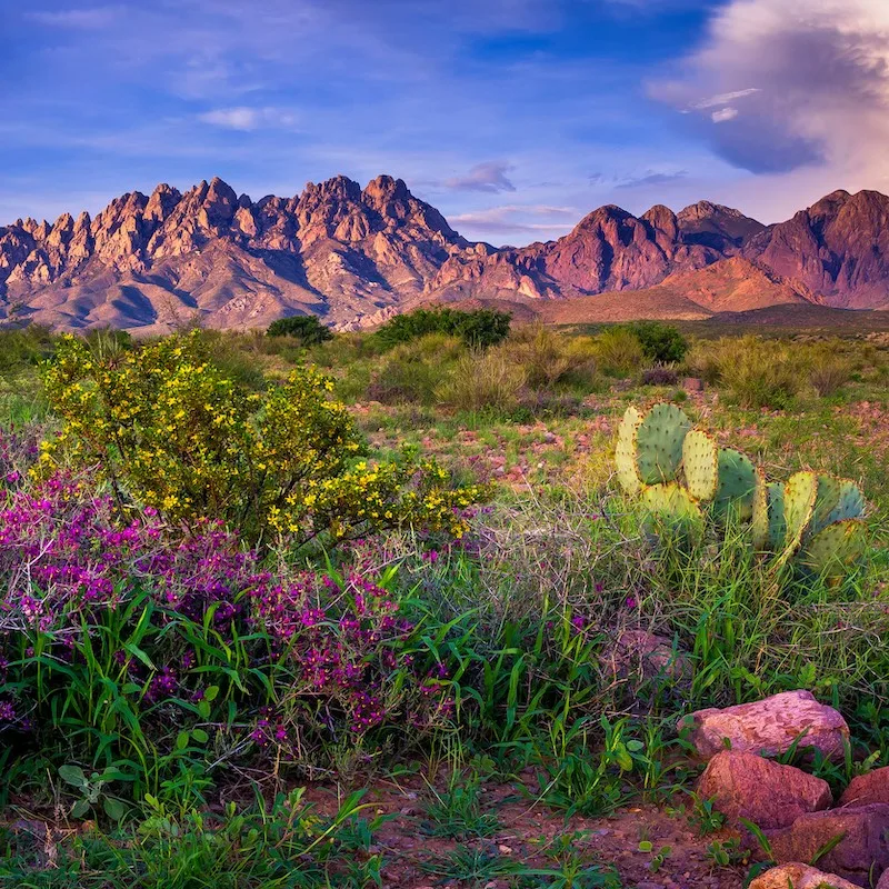 Organ Mountains, Las Cruces - New Mexico