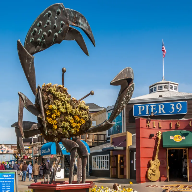 Pier 39 fisherman's wharf at San Francisco