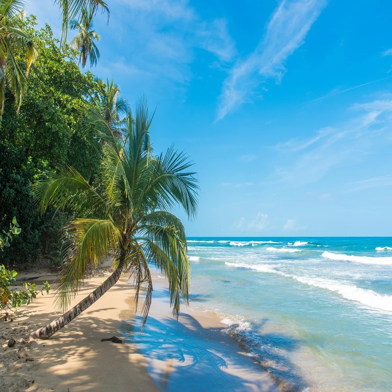 Playa Chiquita near Puerto Viejo