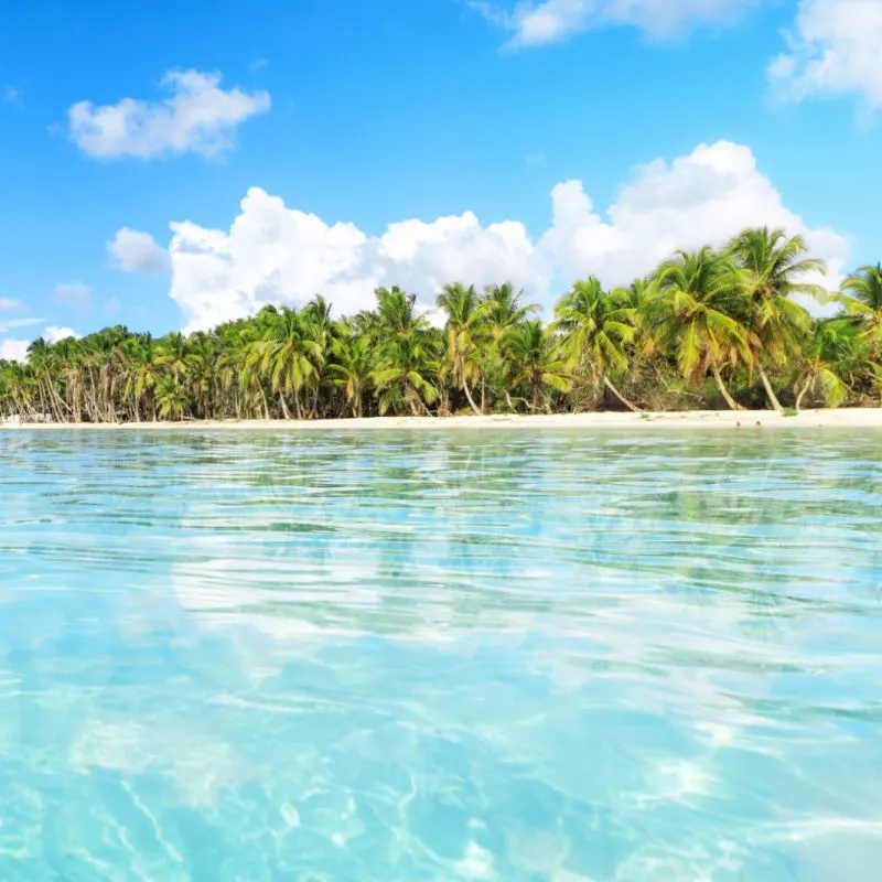 Secluded beach on Saona Island, La Romana, Dominican Republic