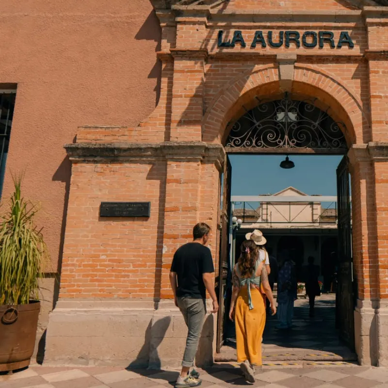 A couple tours La Aurora