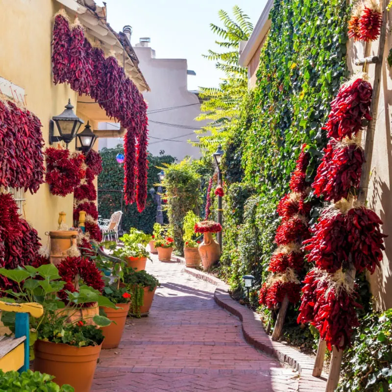 street in albuquerque, new mexico