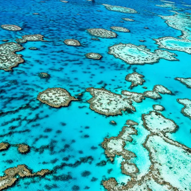 The Great Barrier Reef in Queensland, Australia.