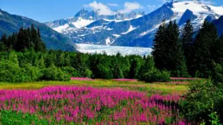 These Are The Top 10 States Americans Want To Visit Most In 2024