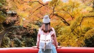 These Are The Top 5 Fall Destinations For 2023