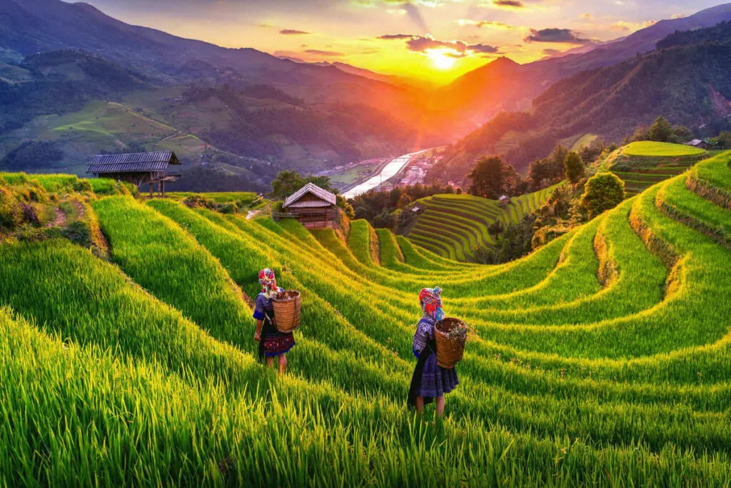 This Is The Safest Country To Visit In Asia For 2024