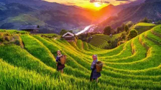 This Is The Safest Country To Visit In Asia For 2024