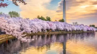 Top 5 Destinations For The Best Cultural Experiences In The U.S.