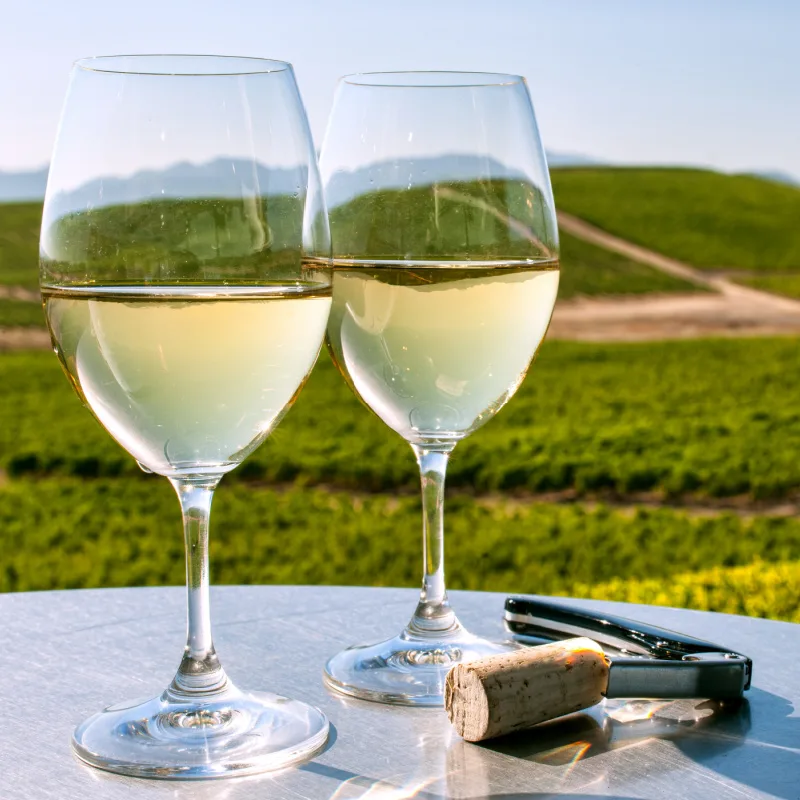 two glasses of white wine at a winery in napa valley california